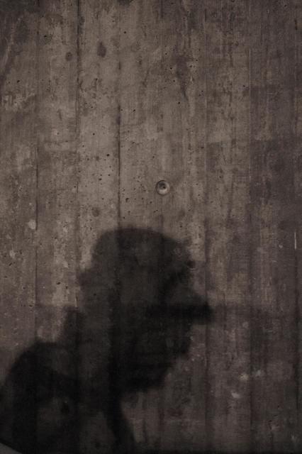 cocreteshadow300dpi-ertru.jpeg