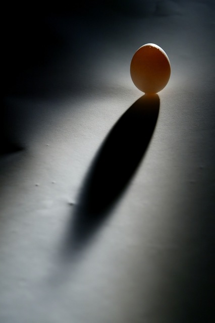 file0001285095497.jpg